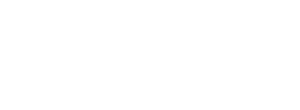 Fleet Feet Logo