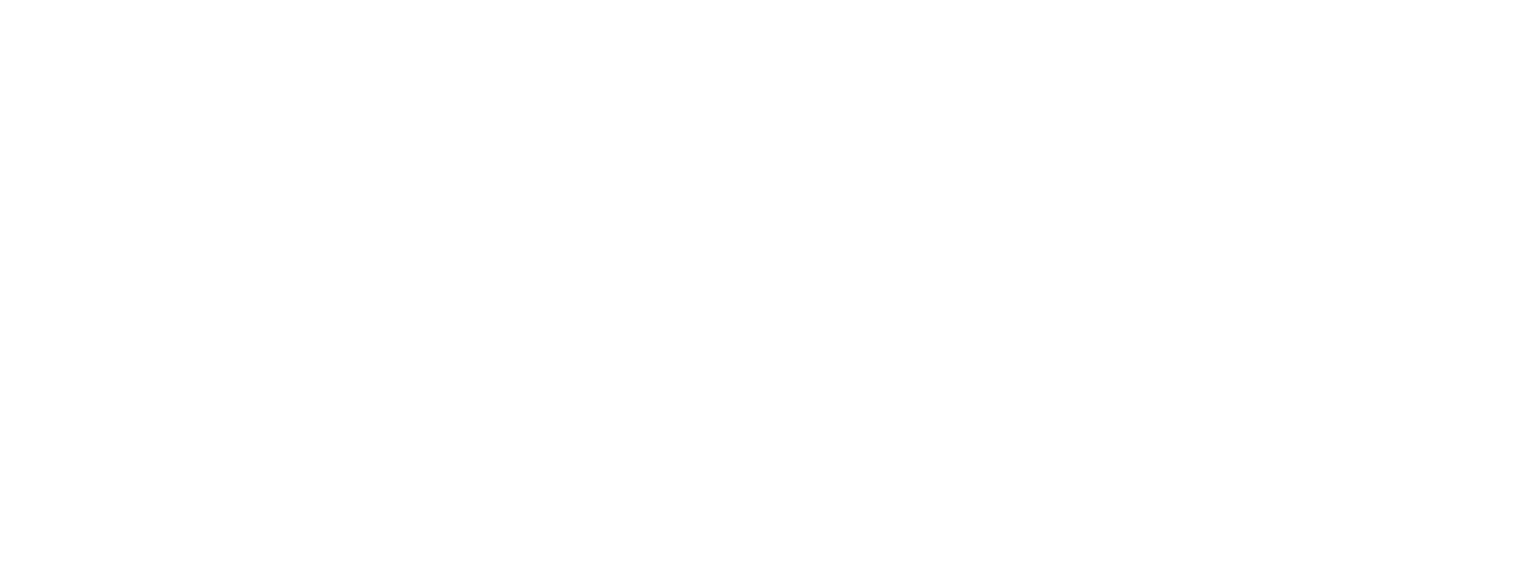 Fleet Feet Logo