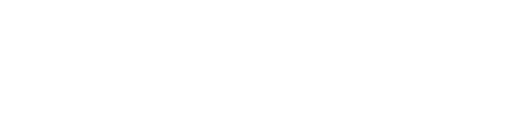 Fleet Feet Logo